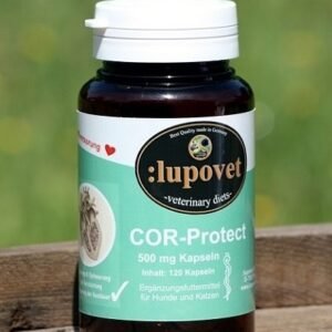 COR-Protect