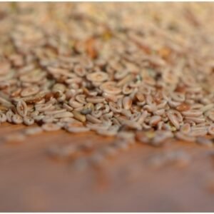 LupoVet Plantago Psyllium