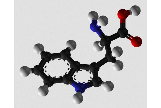 Inu-Tryptophan - Imagen 2